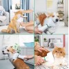 Щётка-фен для шерсти собак и кошек 2в1 PET Grooming Dryer WN-10 портативный массажёр расчёска для груминга животных Белый (D-2019090625)