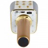 Караоке микрофон беспроводной WSTER WS-1688 Plus Gold (D-2019090497)