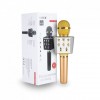 Караоке микрофон беспроводной WSTER WS-1688 Plus Gold (D-2019090497)