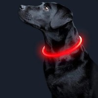 Ошейник для собак и котов Led светящийся водостойкий с кабелем USB универсальный размер регулируемый 50см КРАСНЫЙ (D-2019091409) Ошейник для собак и котов Led светящийся водостойкий с кабелем USB универсальный размер регулируемый 50см КРАСНЫЙ (D-2019091409)