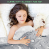 Плед светящийся в темноте День Ночь Magic Blanket 120х150см Серый (D-2019090951)