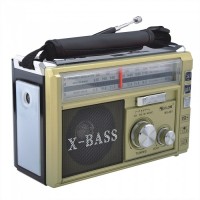 Радиоприемник проигрыватель портативный аккумуляторный с радио USB+SD+FM+AM+Bluetooth Golon RX 381 BT Золотой (D-2019091437)