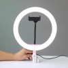 Светодиодная кольцевая LED лампа 26 см для профессиональной фото и видео съемки с пультом регулировки яркости Ring Fill Light ZD666 (D-2019090539)