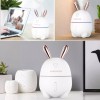 Зайка Увлажнитель воздуха и ночник 2в1 Humidifier, Белый (D-2019091076)